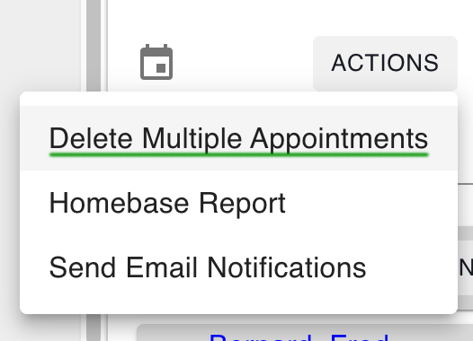 select-delete-multiple-appointments.png