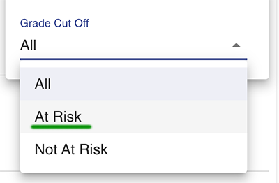 at-risk-filter.png